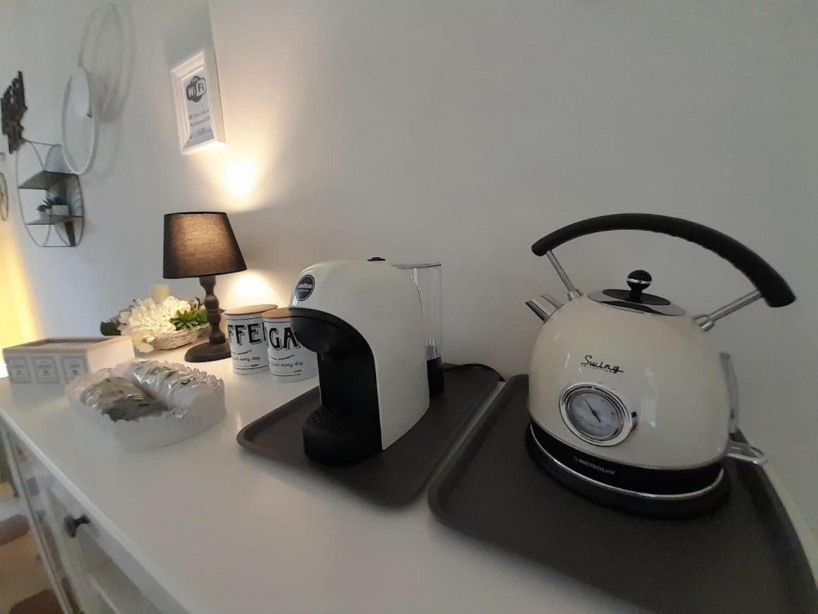 B&B Villino Luschi Pisa Centro エクステリア 写真