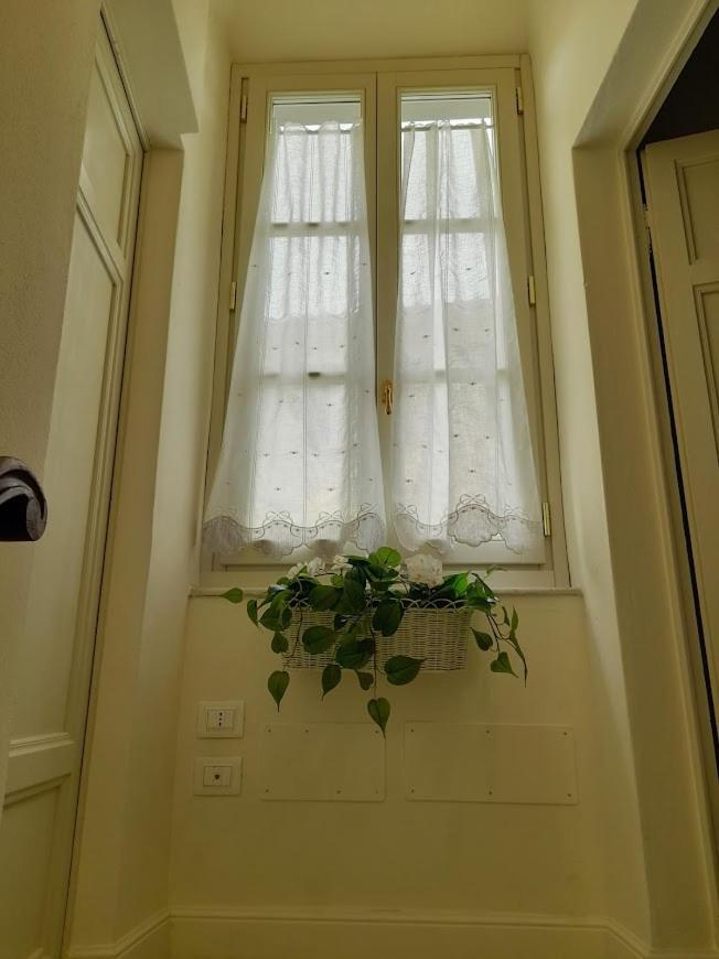 B&B Villino Luschi Pisa Centro エクステリア 写真